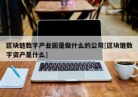 区块链数字产业园是做什么的公司[区块链数字资产是什么]